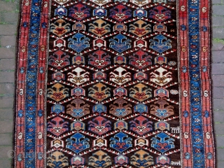 Kurd
Size: 112x240cm (3.7x8.0ft)
Natural colors, super wool quality, made in circa 1910                      