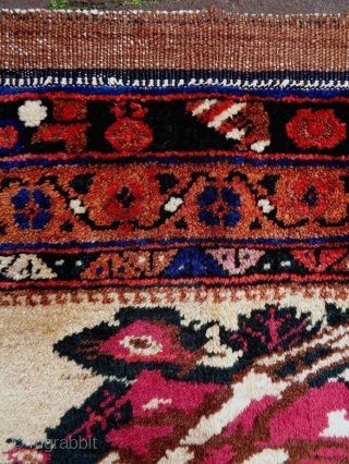 Afshar Bagface
Size: 61x61cm (2.0x2.0ft)
Natural colors (one color is faded), made in circa 1910/20                    