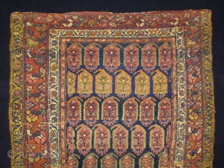 1880 Kurd Boteh
Size: 100x230cm (3.3x7.7ft)
Natural colors                           