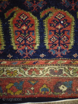 1880 Kurd Boteh
Size: 100x230cm (3.3x7.7ft)
Natural colors                           