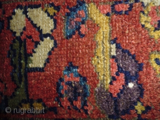 1880 Kurd Boteh
Size: 100x230cm (3.3x7.7ft)
Natural colors                           