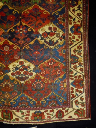 Bachtiar
Size: 155x210cm (5.2x7.0ft)
Natural colors, made in circa 1910                         