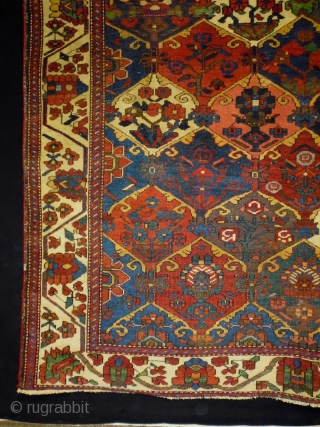 Bachtiar
Size: 155x210cm (5.2x7.0ft)
Natural colors, made in circa 1910                         
