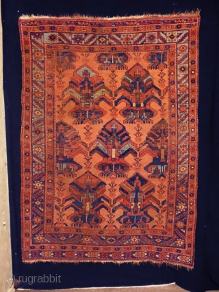 1880 Afshar
Size: 127x174cm (4.2x5.8ft)
Natural colors                            