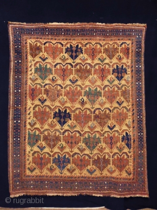 1880 Afshar
Size: 149x180cm (5.0x6.0ft)
Natural colors                            