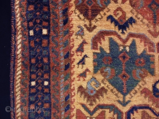 1880 Afshar
Size: 149x180cm (5.0x6.0ft)
Natural colors                            