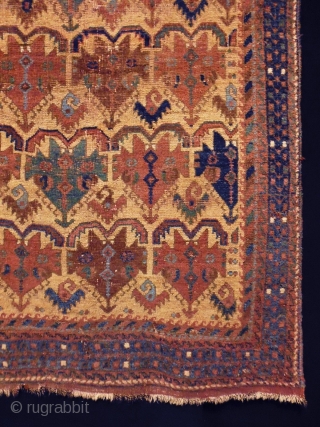 1880 Afshar
Size: 149x180cm (5.0x6.0ft)
Natural colors                            