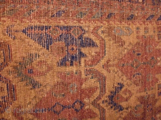 1880 Afshar
Size: 149x180cm (5.0x6.0ft)
Natural colors                            