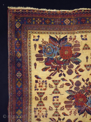 Very fine Afshar
Size: 129x173cm(4.3x5.8ft)
Natural colors, supple                           