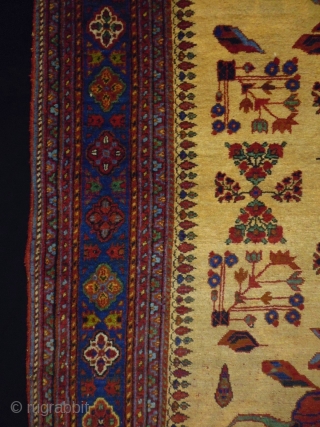 Very fine Afshar
Size: 129x173cm(4.3x5.8ft)
Natural colors, supple                           