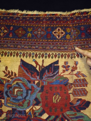 Very fine Afshar
Size: 129x173cm(4.3x5.8ft)
Natural colors, supple                           