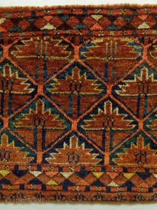 19th Century Bashir Torba Fragment
Size: 119x43cm (4.0x1.4ft)
Natural colors                         