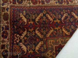 19th Century Fine Kamseh Bagface
Size: 71x78cm
Natural colors                          