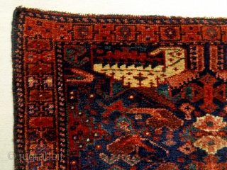 Kurd Bagface
Size: 68x54cm (2.3x1.8ft)                             