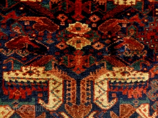 Kurd Bagface
Size: 68x54cm (2.3x1.8ft)                             