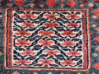 Persian Kurdish bagface 1880 circa all good colors-size 60x45cm                        