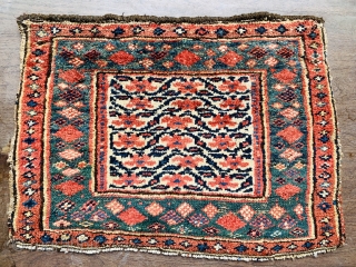 Persian Kurdish bagface 1880 circa all good colors-size 60x45cm                        