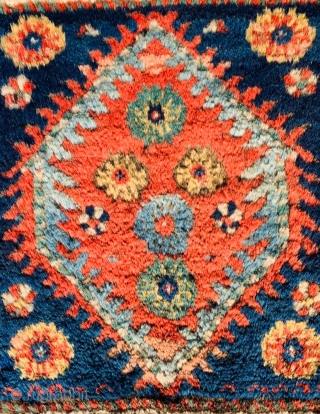 	shahsevan bagface 1880 circa first quality of wool and colors, perfect conditional•••size 60x57cm                    