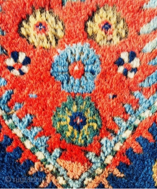 	shahsevan bagface 1880 circa first quality of wool and colors, perfect conditional•••size 60x57cm                    