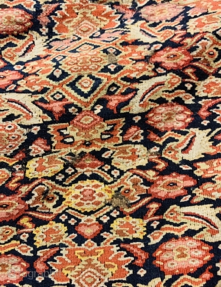 senneh kilim very fine quality 1860 circa with some old repairs   size 190x130cm                  