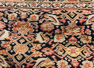 senneh kilim very fine quality 1860 circa with some old repairs   size 190x130cm                  