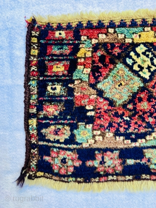 Kurdish Jaf bagface very tribal design and high wool  circa 1880  in perfect condition•••size63x41cm                 