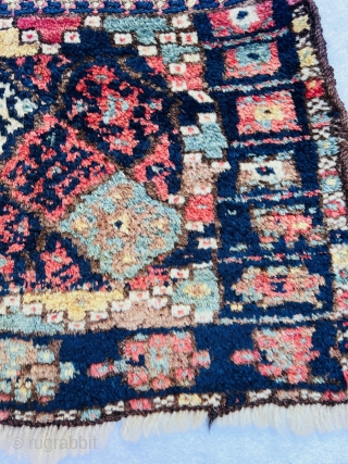 Kurdish Jaf bagface very tribal design and high wool  circa 1880  in perfect condition•••size63x41cm                 