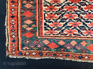 Persian Kurdish bagface 1880 circa all good colors-size 60x45cm                        