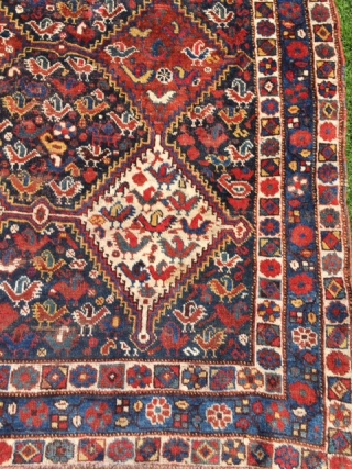 Genuine 19th century Qashqai Khamseh. Lots of chicken. Softest wool and great natural dyes. True tribal rug. In good condition with some old restorations including through some felt pads on the backside  ...