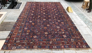Antique Persian Shiraz or Afshar? Carpet size 244x425 cm                        
