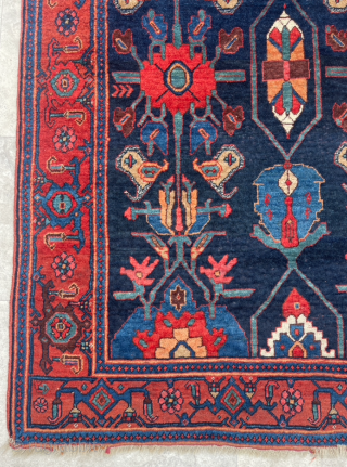 Lovely old Persian Bidjar Rug dated 1332/1913 size 137x207 cm 

Contact: hakanaydin.98@gmail.com                     