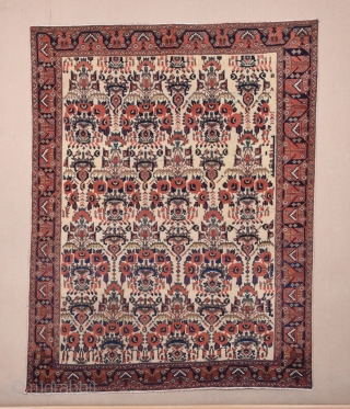 19th Century Persian Afshar Rug size 143x183 cm                         