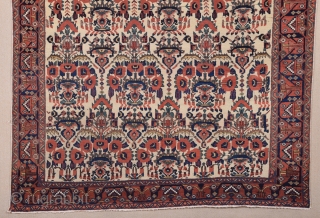 19th Century Persian Afshar Rug size 143x183 cm                         