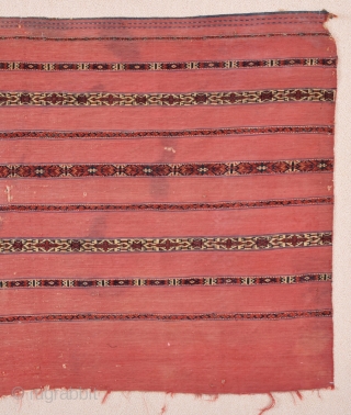 Early 19th Century Tekke Ak Cuval size 77x129 cm very fine quality and has off-set knotting                 