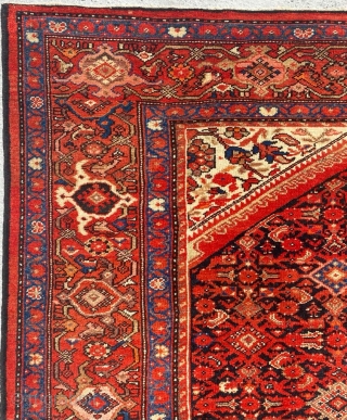 Melayer Carpet Size: 210x400 cm                            