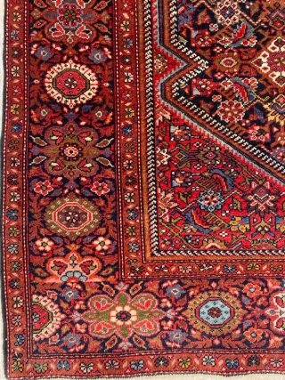 Sarouk Rug Circa 1900’s Size: 127x205 cm                          