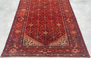 Melayer Carpet Size: 210x400 cm                            