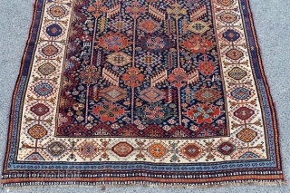 Shekarlu Rug Circa 1880 Size: 160x240 cm                          