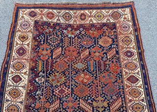 Shekarlu Rug Circa 1880 Size: 160x240 cm                          