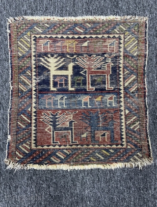 Circa 1900 around Shirvan bag face 39 x 41 cm                       