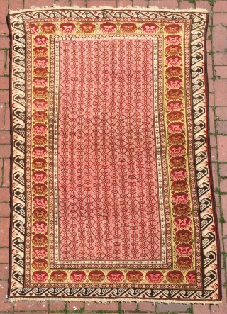 Seychour Rug circa 1900
Dimensions : 220 x 130 cm                        