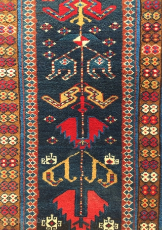 Full pile Kuba Shirvan have some abrage on ground circa 1870 size : 265 x 101 cm                