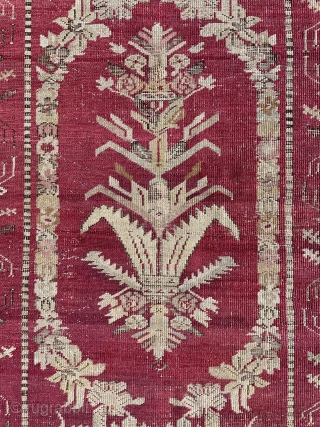 Circa 1880 Ghiordes rug size 172 x 108 cm. Contalct via mail : halilaalan@gmail.com or ig:halilalanrugs                 