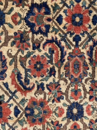 Antique Afshar rug circa 1920, natural dyes and camel hair. Has some moth damaged places but general pile is good. Wool on cotton
Size : 175 x 142 cm (4’7 x 5’8) please  ...