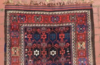 Baluch Rug good condition 230(245) x 133 cm                         