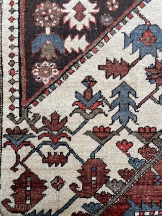 Antique Karadja Heriz circa 1900 around, lost ends on small border, edges are original. General condition is good. Size : 360 x 300 cm ( 9’10 x 11’9). Please don’t hesitate to  ...