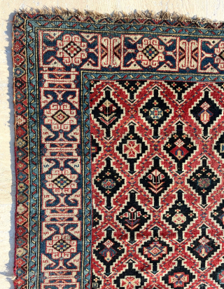 Kuba Shirvan Rug, Circa 1860s, size 105 x 125 cm. Please send me directly mail.
halilaydinrugs@gmail.com
                  