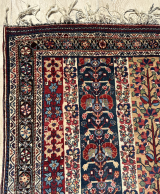 Qhasqai Rug Circa 1880 Size: 125x237 cm
Please contact directly. Halilaydinrugs@gmail.com                       