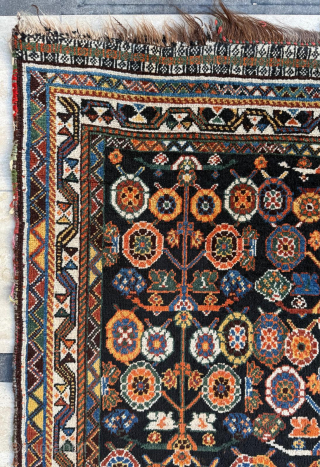 Late of the 19th century Persian khamseh rug, size 102 x 152 cm.
please send me directly mail.
halilaydinrugs@gmail.com                