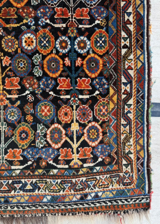 Late of the 19th century Persian khamseh rug, size 102 x 152 cm.
please send me directly mail.
halilaydinrugs@gmail.com                